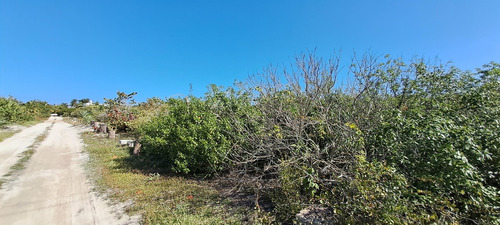 Venta De Terrenos En La Costa De Merida