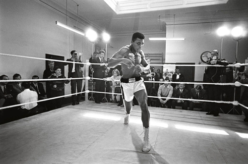 Cuadro 20x30cm Muhammad Ali Boxeo Leyenda Box M1