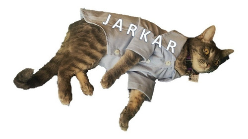 Camisa Formal Para Gato