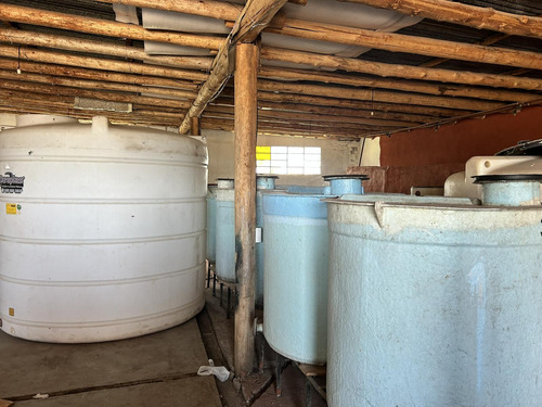 Finca, Bodega Artesanal Y Casa En San Rafael, Medoza.