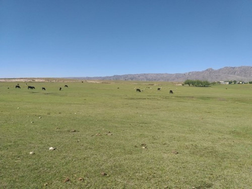 Imagen 10 de 11 de Se Venden 400 Hectareas Ganaderas En Los Gigantes Cordoba