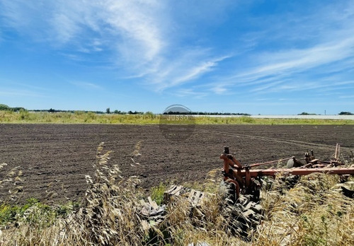 Imagen 3 de 6 de Campo En Santa Paula, Gral. Pueyrredón