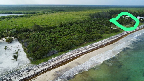 Terreno Frente La Playa 450 M2