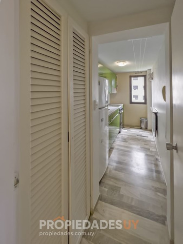 Imagen 6 de 22 de Apartamento De Dos Dormitorios Y Un Baño - Punta Del Este Brava