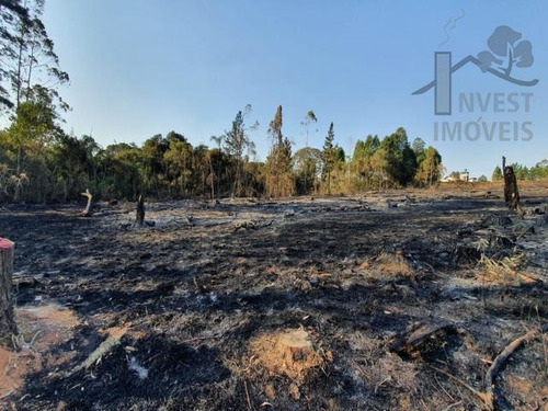 Imagem 2 de 5 de Cod 6172 - Terreno Na Cidade De Ibiúna. A Apenas 65 Km De S - 6172
