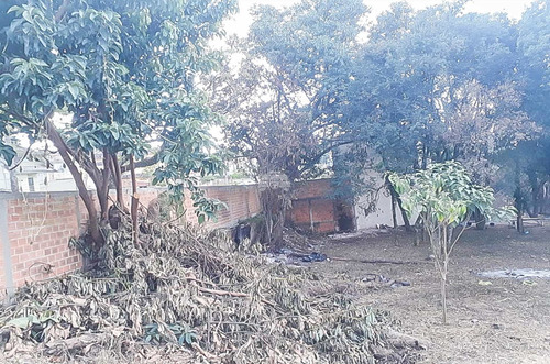 Terreno - Comercial/residencial - 153648