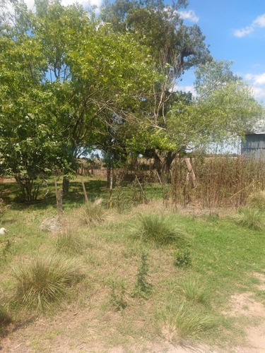 Imagen 9 de 10 de Campo En Venta En San Vicente
