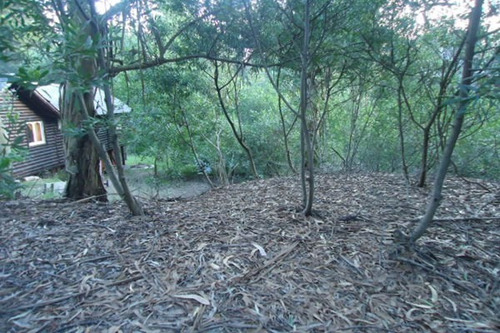 Imagen 6 de 6 de Muy Lindo Entorno- Lote Arbolado- Lote En Altura Con Desnivel En El Fondo- 15 X 30- 450mts-