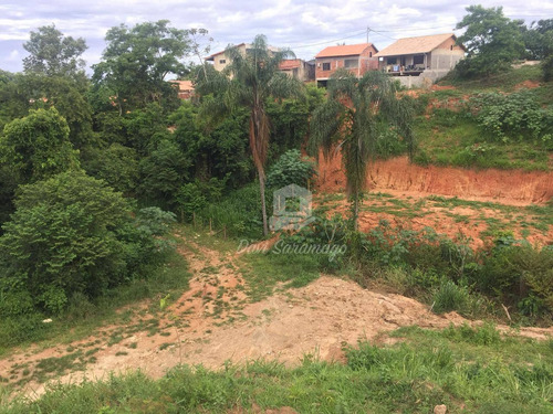 Imagem 17 de 22 de Terreno Amplo Para Desenvolvimento Imobiliário. - Te0019