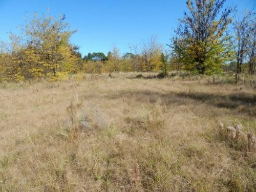 Imagen 16 de 18 de T021 No Amplia Fracción De 15.000 M2 C/escritura Con Acceso De Asfalto En Nono