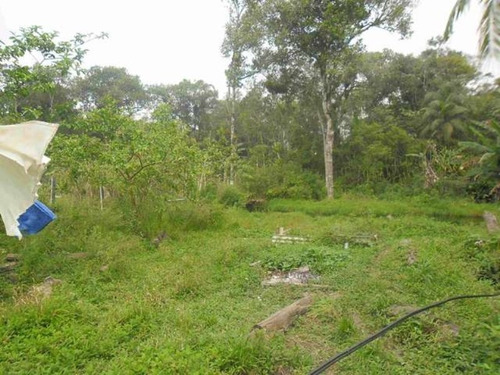 Chacará Em Ótimo Local - 812 - 3207285