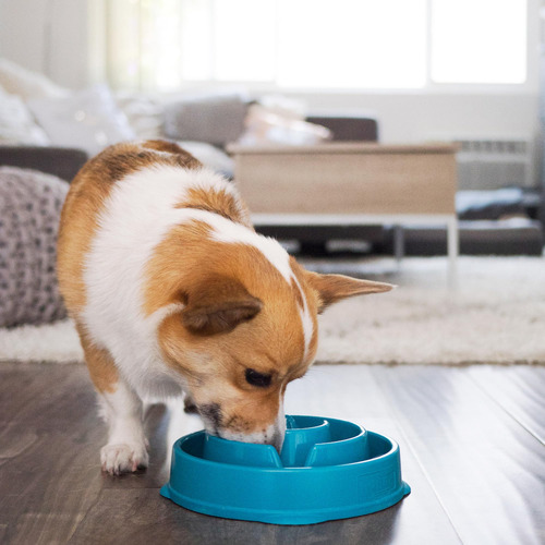 Outward Hound Fun Feeder tazon para perro de comida lenta en laberinto 300g