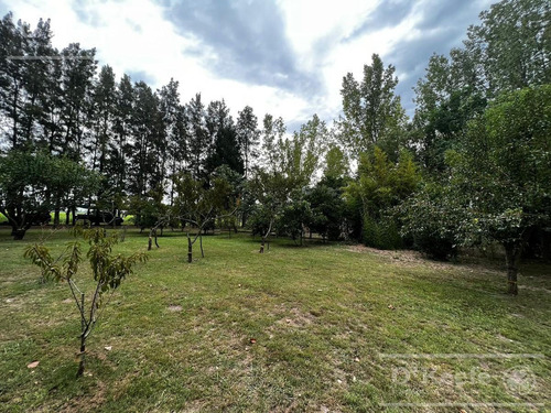 Imagen 30 de 30 de Chacra En Venta De 17 Has En San Andres De Giles. Excelente Casco