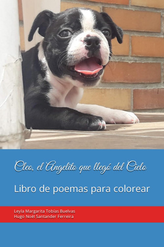 Libro: Cleo, El Angelito Que Llegó Del Cielo: Libro De Poema