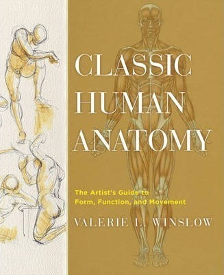 Classic Human Anatomy : Designing Transformative Yoga Cla...