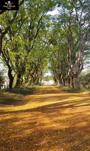 Excelente Oportunidade De Negócio! Chácara A 2 Minutos Do Centro Da Cidade! - Ch00142 - 69310873