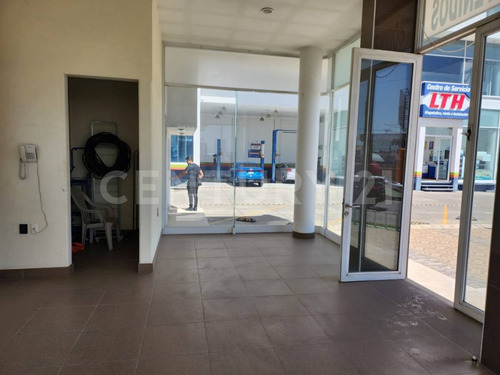 Atención Inversionistas!!!! Venta De Edificio, Terreno Y Cafetería