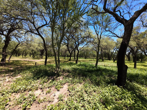 Terrenos En Traslasierra
