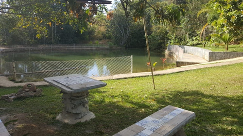 Imagem 14 de 20 de Chácara Com 5 Dormitórios À Venda, 4000 M² Por R$ 1.260.000,00 - Zona Rural - Silvânia/go - Ch0001