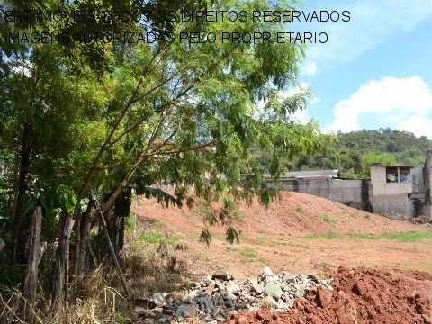 Imagem 17 de 20 de Terreno - Te00064 - 3510854