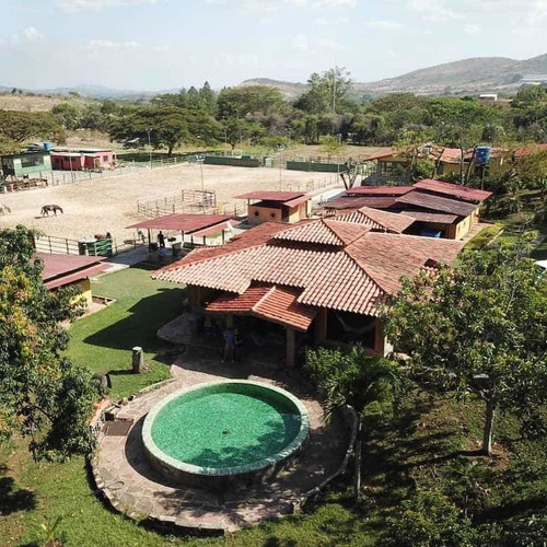 Imagen 7 de 8 de Finca En Venta En Tinaquillo