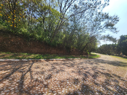 Venta De Lote San Diego 10 De Enorme Dimensiones Con Bonita Vista Y Proyecto Incluído Cerca De Acceso Y Amenidades En Fracc Rancho San Diego Ixtapan De La Sal Edomex