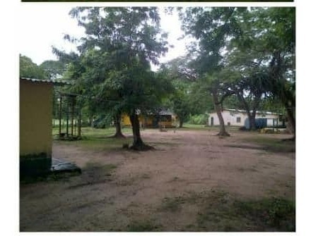 Imagen 3 de 13 de Hato En Calabozo, Edo. Guárico