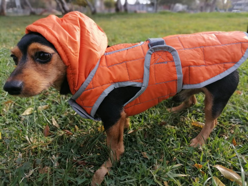 Parka Reversible Ropa Para Perros Talla M Pethome