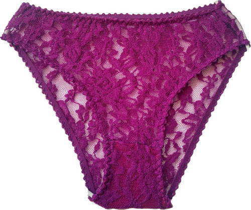 Pantaleta Bikini Clásico Encaje Semitransparente