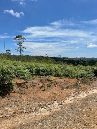 Imagem 27 de 30 de 51- Vendo Terreno Por 60 Mil Em Mogi Das Cruzes