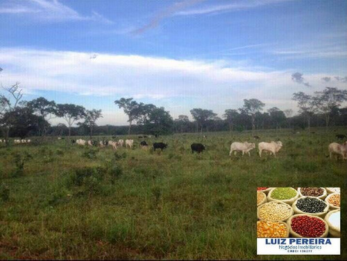 Imagem 3 de 7 de Fazenda À Venda Em Campo Grande - Ms - De 890 Hectares (dupla Aptidão) - 1698