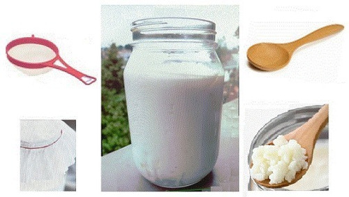 Imagen 1 de 5 de Set X5 Para Cultivo Kefir De Leche, Búlgaros