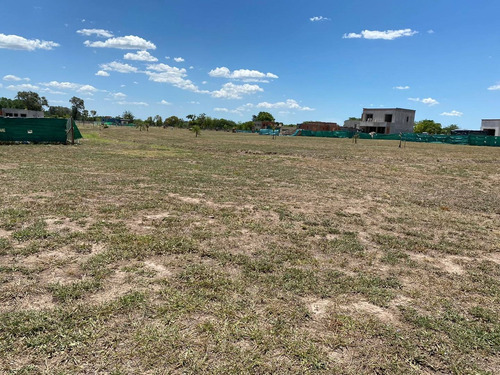 Imagen 3 de 8 de Hermoso Lote Fondo A Verde!