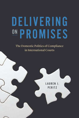 Libro Delivering On Promises: The Domestic Politics Of Co...