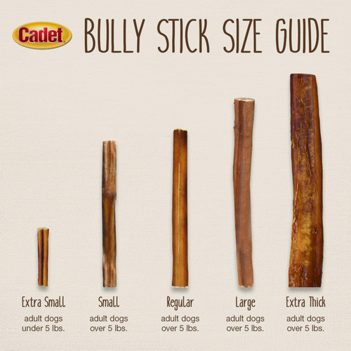 Dog Bully Sticks Cadet, De Larga Duración, Totalmente Natura