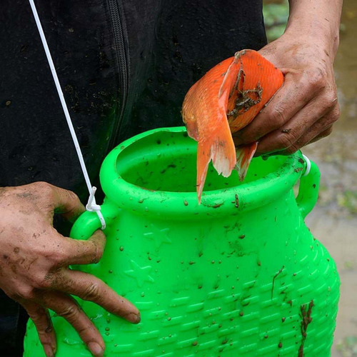 Cubo De Pesca, Cesta Para Peces, Caja De Pesca Resistente Y