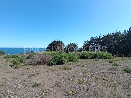 Vista Y Acceso Al Mar En Cahuil, Pichilemu.