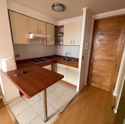 Arriendo De Departamento En Concepcion