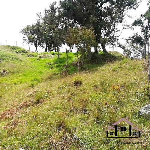 Imagen 14 de 14 de Finca Productiva En Excelente Clima
