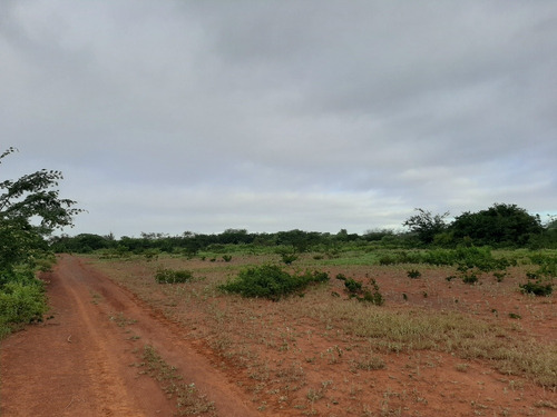Imagem 10 de 10 de Propiedade Para Criar E Para Agricultura