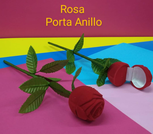 Rosa Porta Anillo