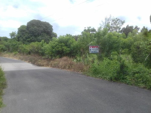 Venta Terreno 5000 M2 Frente Al Estero De Juana Moza Tuxpan Veracruz