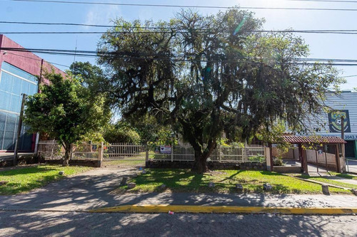 Imagem 1 de 16 de Venda Terreno No Bairro Bom Princípio