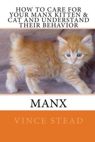 How To Care For Your Manx Kitten  Y  Cat And Understand Thei