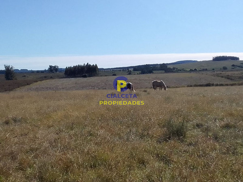 70 Hectáreas En Lavalleja