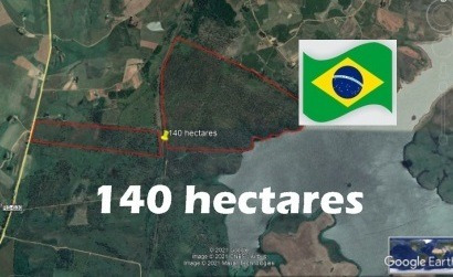 Imagem 1 de 3 de Fazenda Com 140 Hectares P/eucaliptos Em São Gabriel - Rs