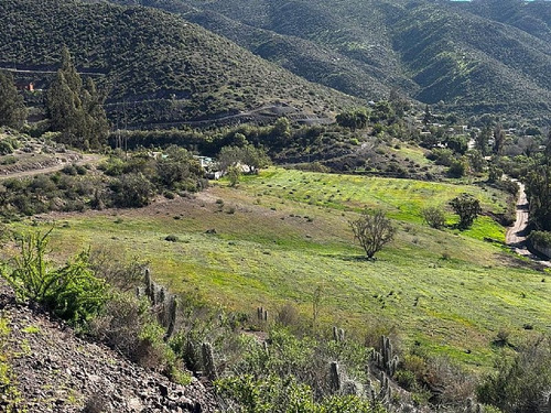 Sitio En Venta En Vicuña