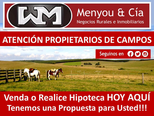 Venta Compra De Campo De 200has A 2500has Forestal Ganadero