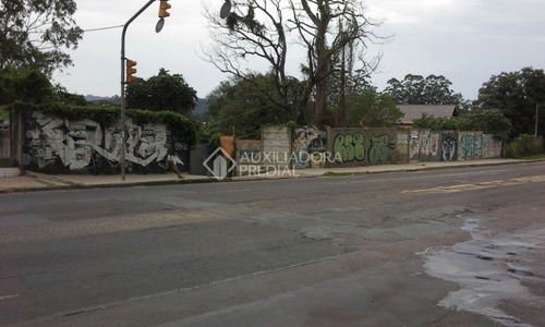 Imagem 2 de 6 de Terreno - Lomba Do Pinheiro - Ref: 282949 - V-282949