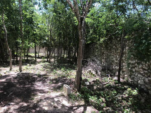 Terreno En Venta En Tulum Super Centrico